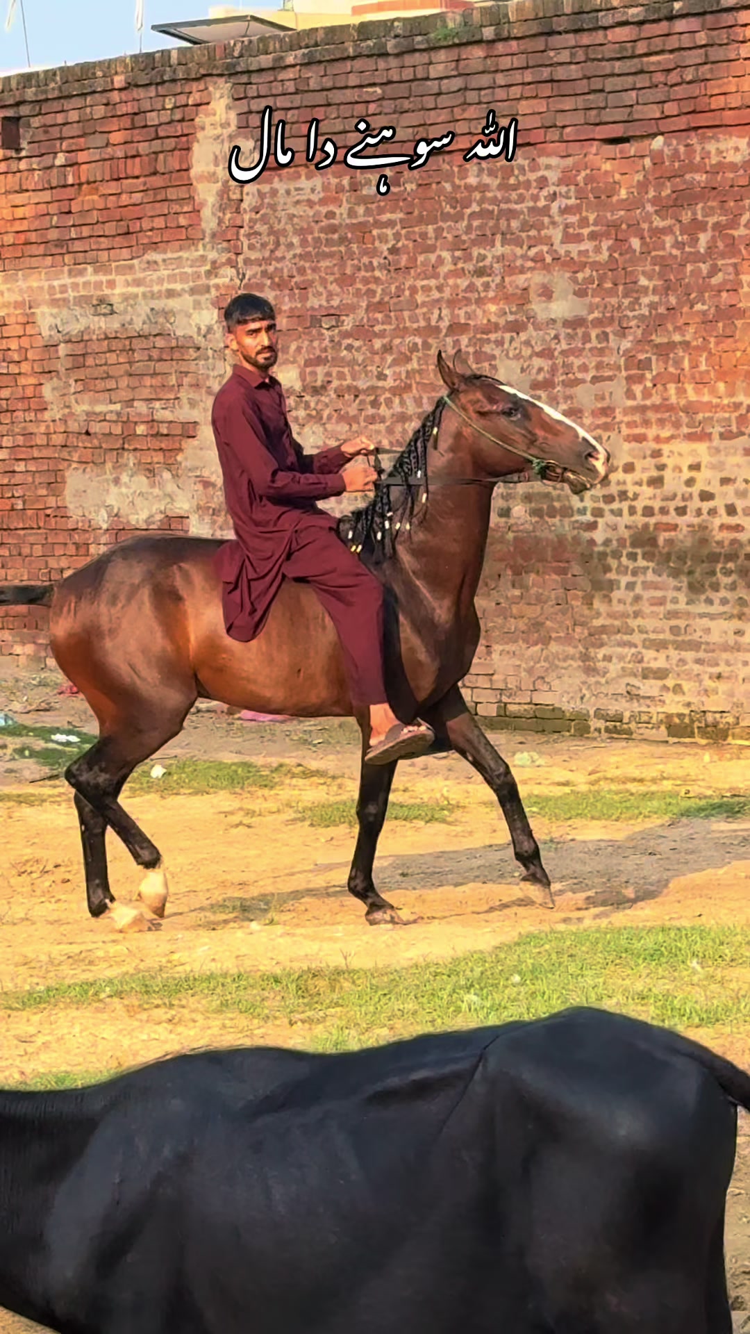 @Sameerx653