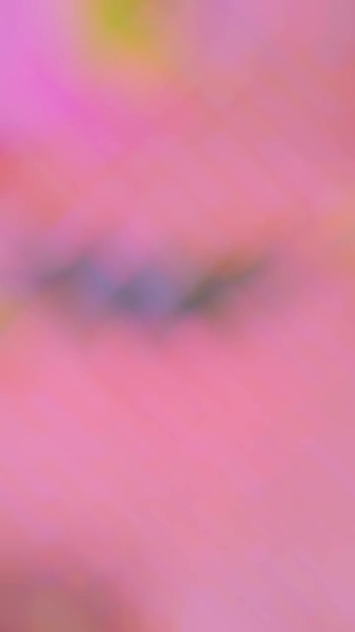 @RehanBhayo