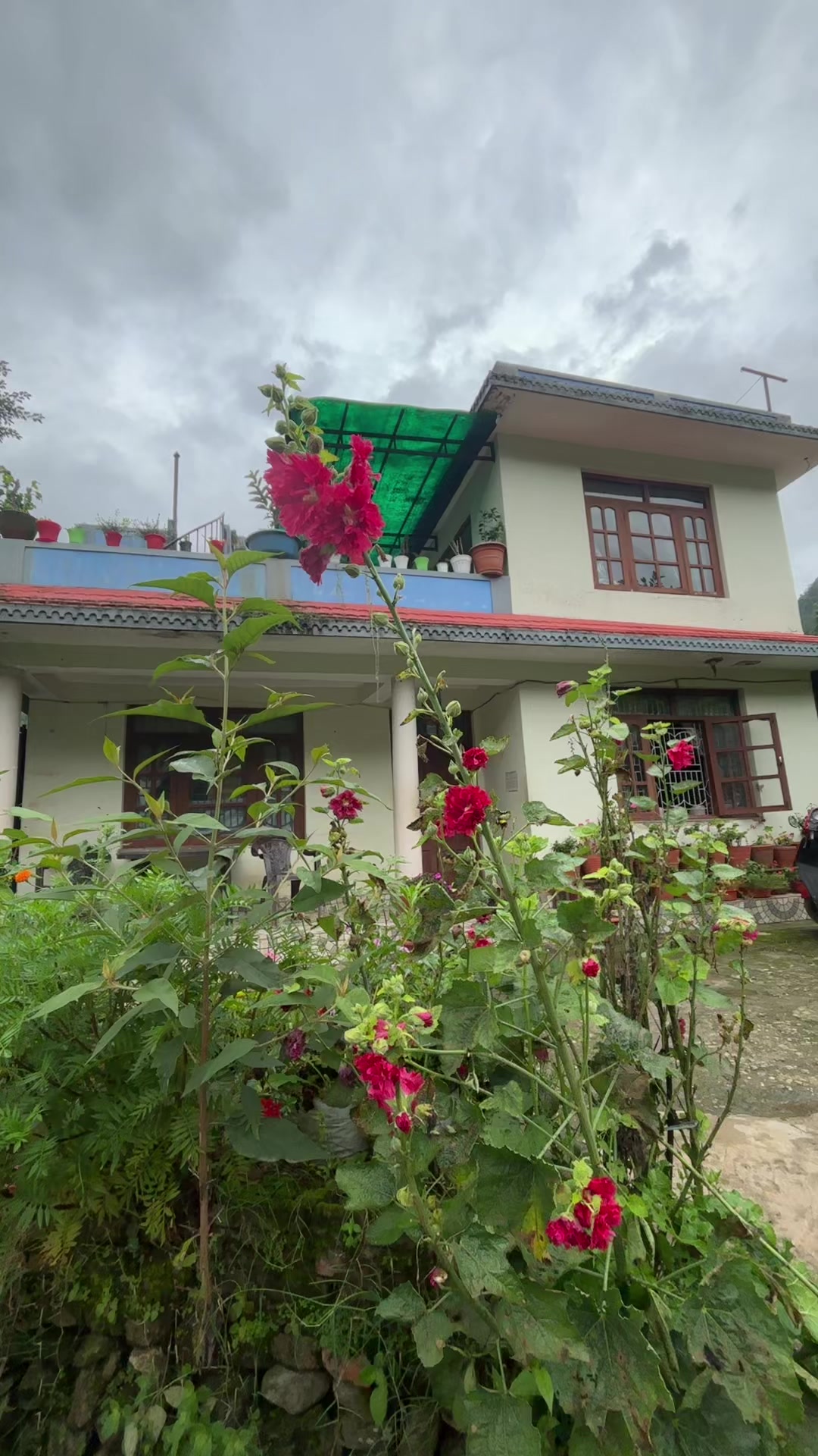 @Sita Thapa Yogi