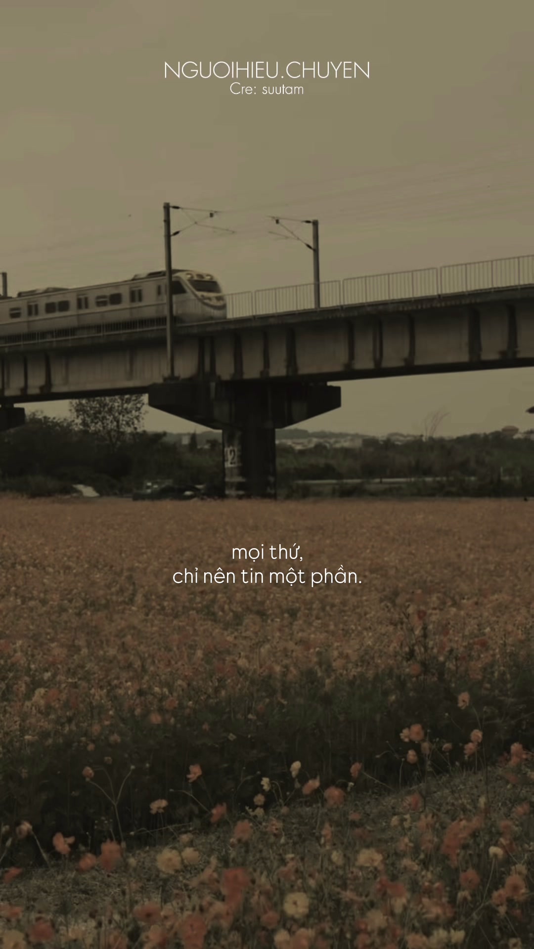 @Người Hiểu Chuyện