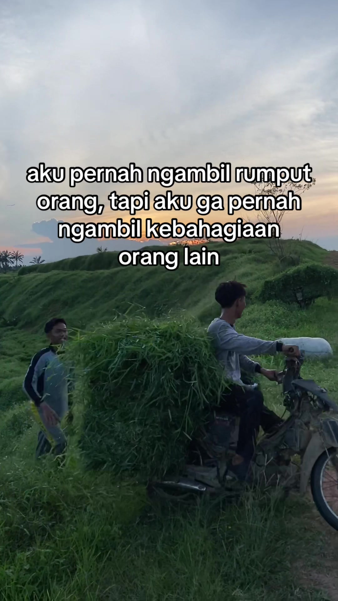 @ngaritboy