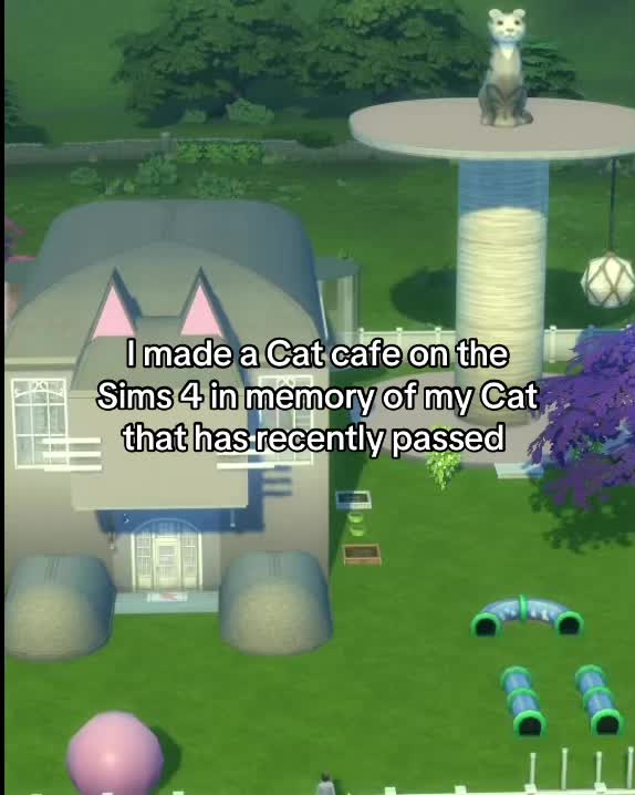 @MewBuilds