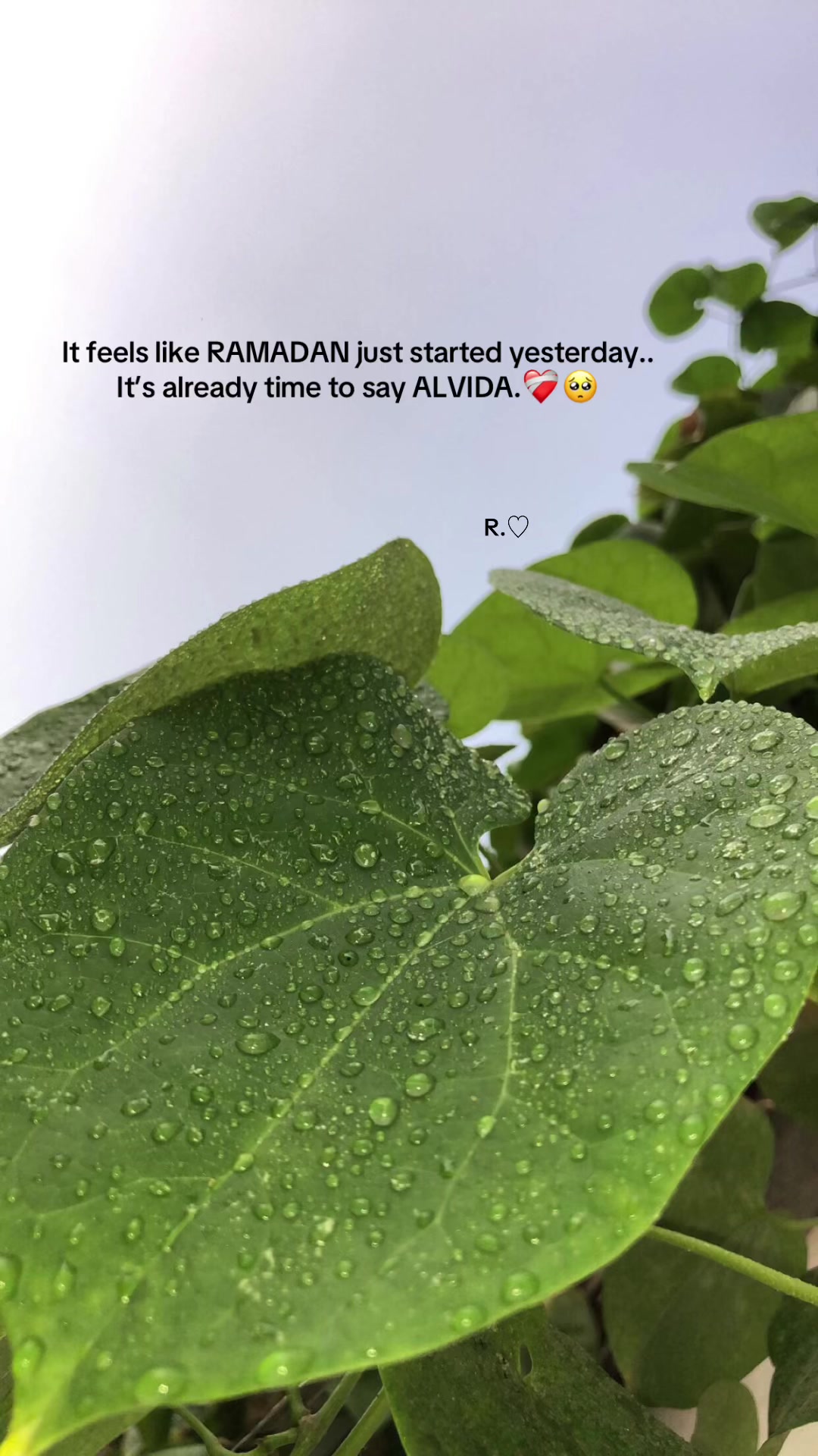 @R.♡