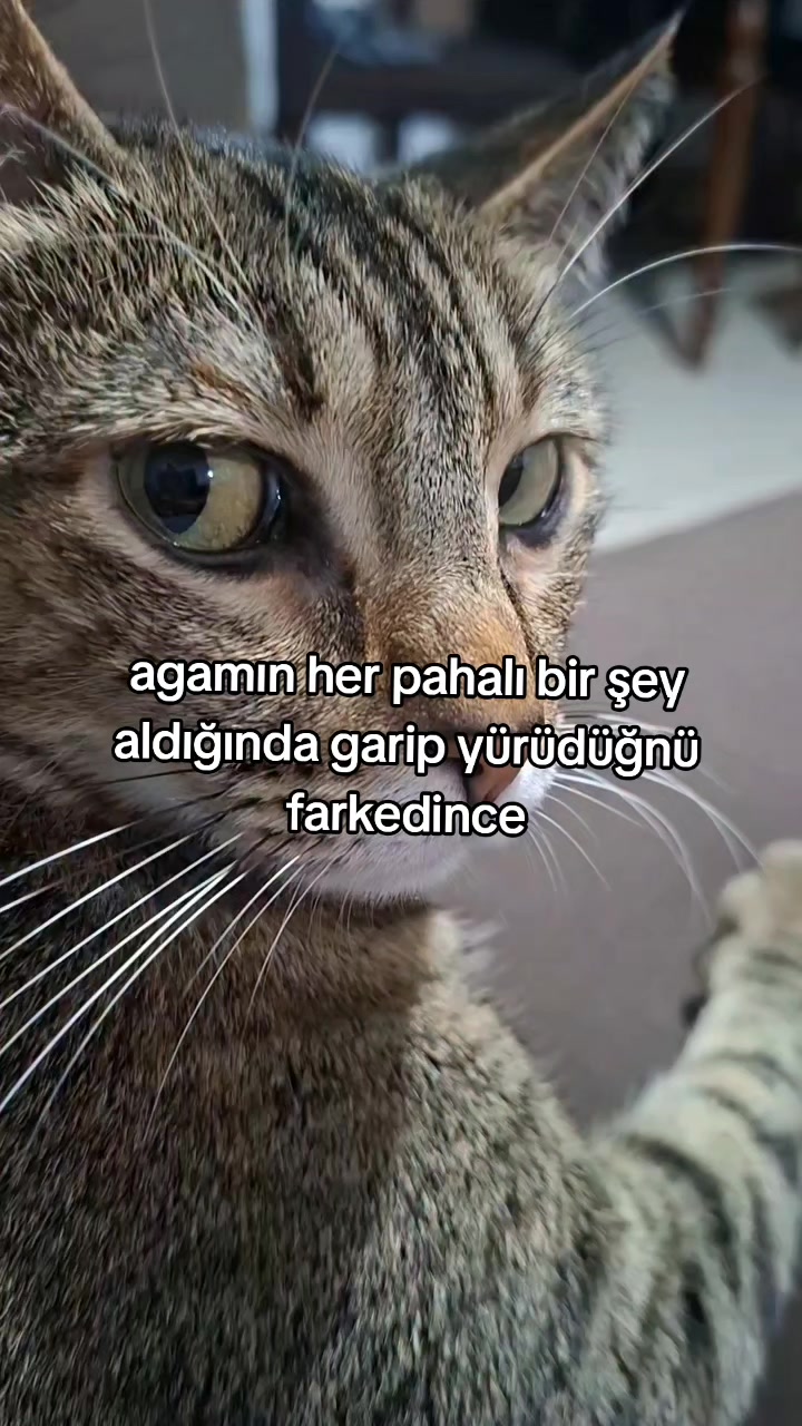 @rolland