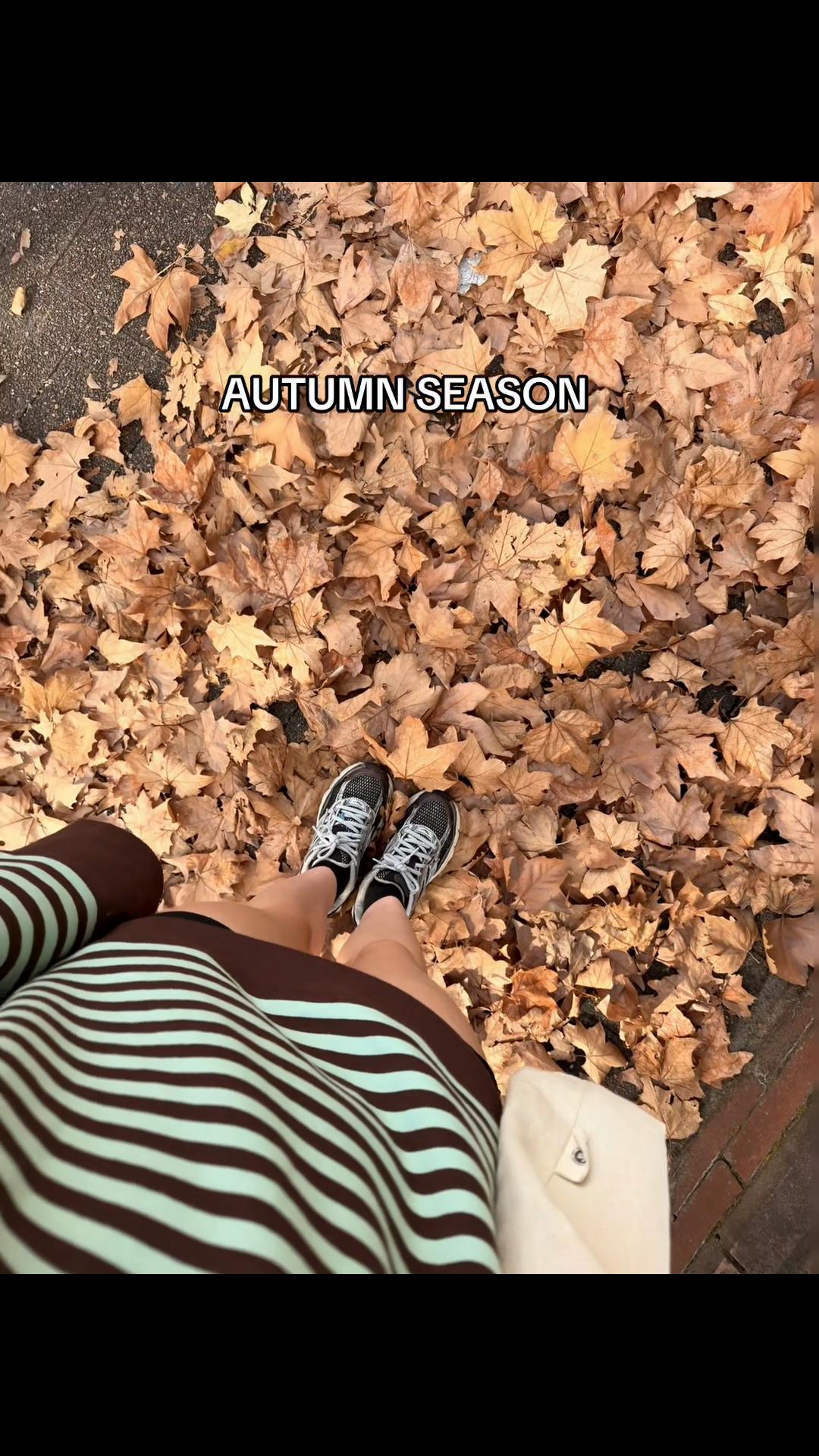 @Gxbs🌻