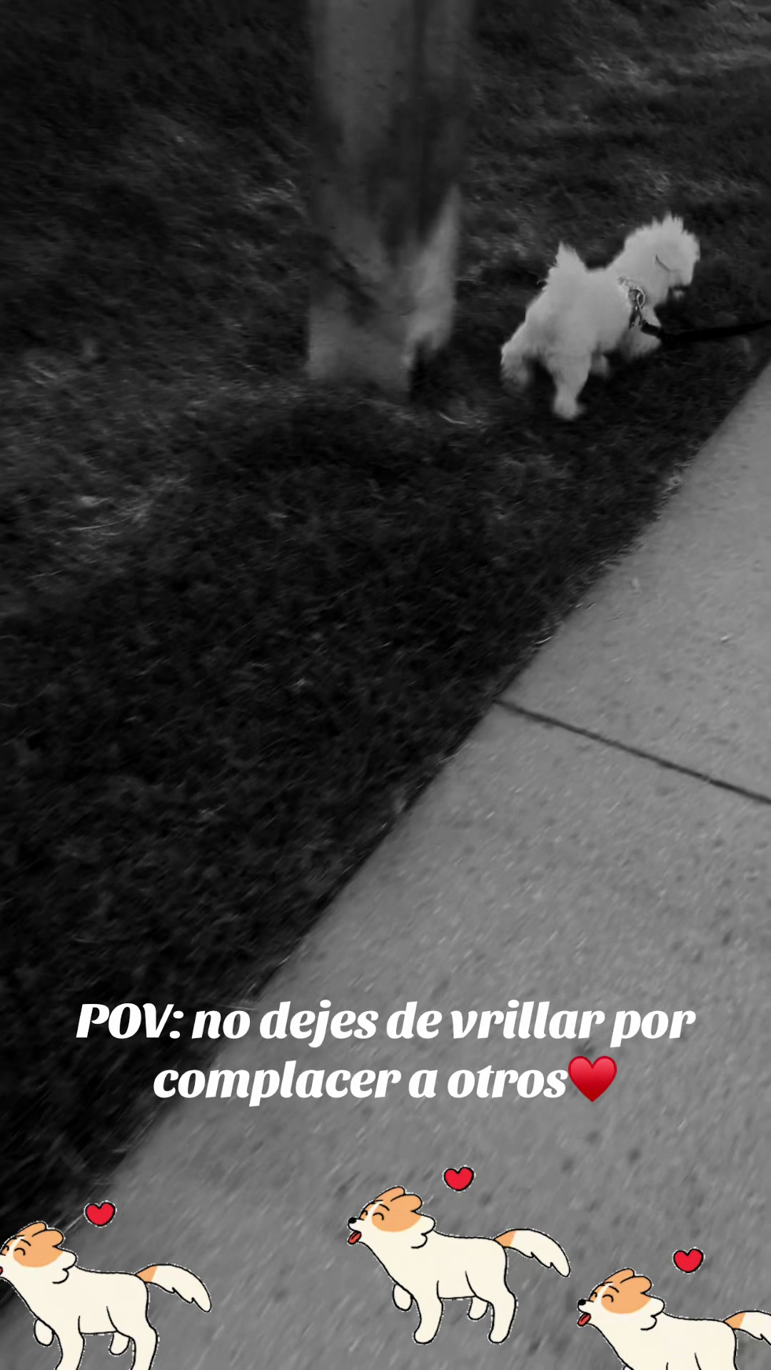 @los3huevertos