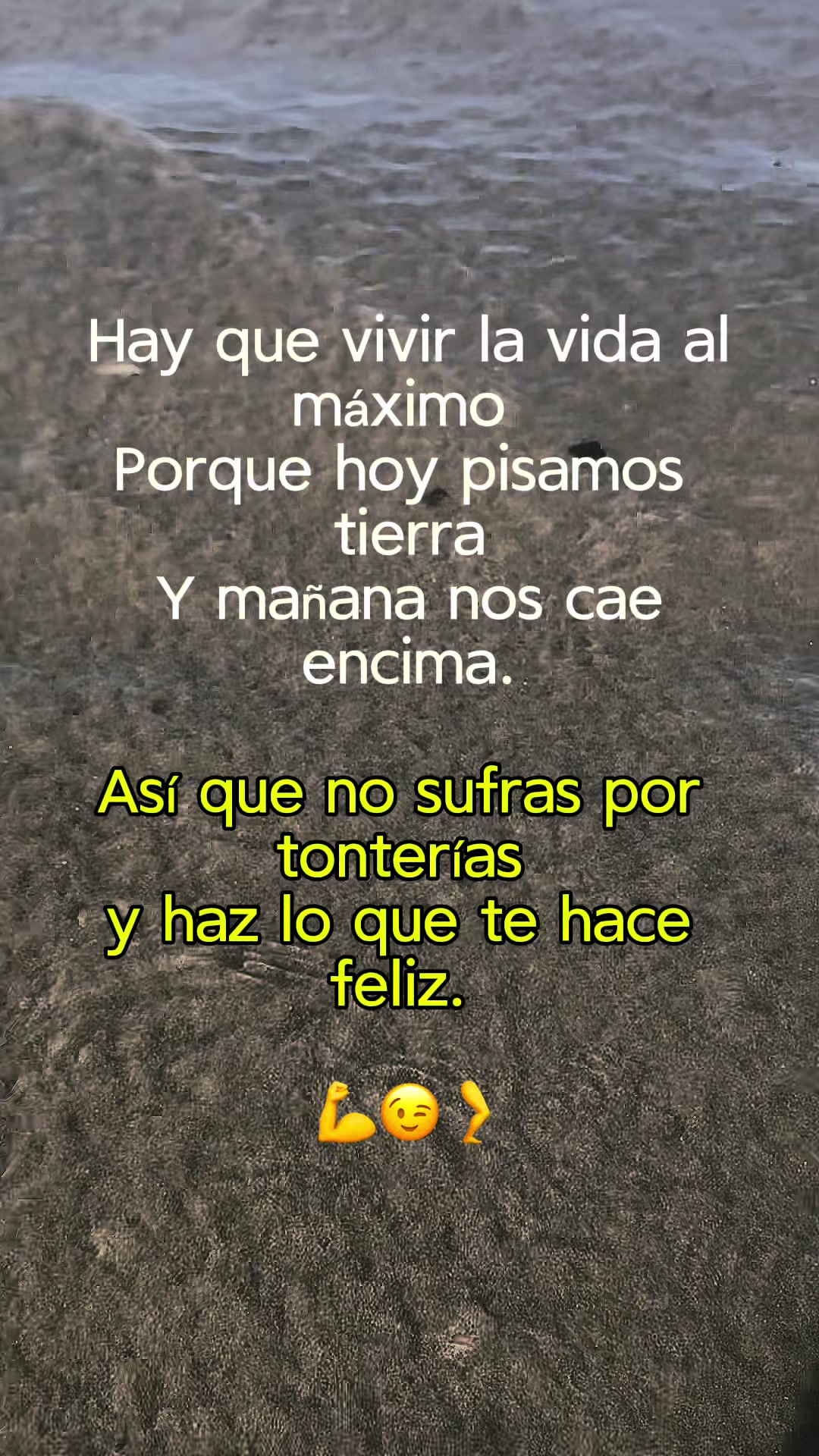 @Catalina Vega