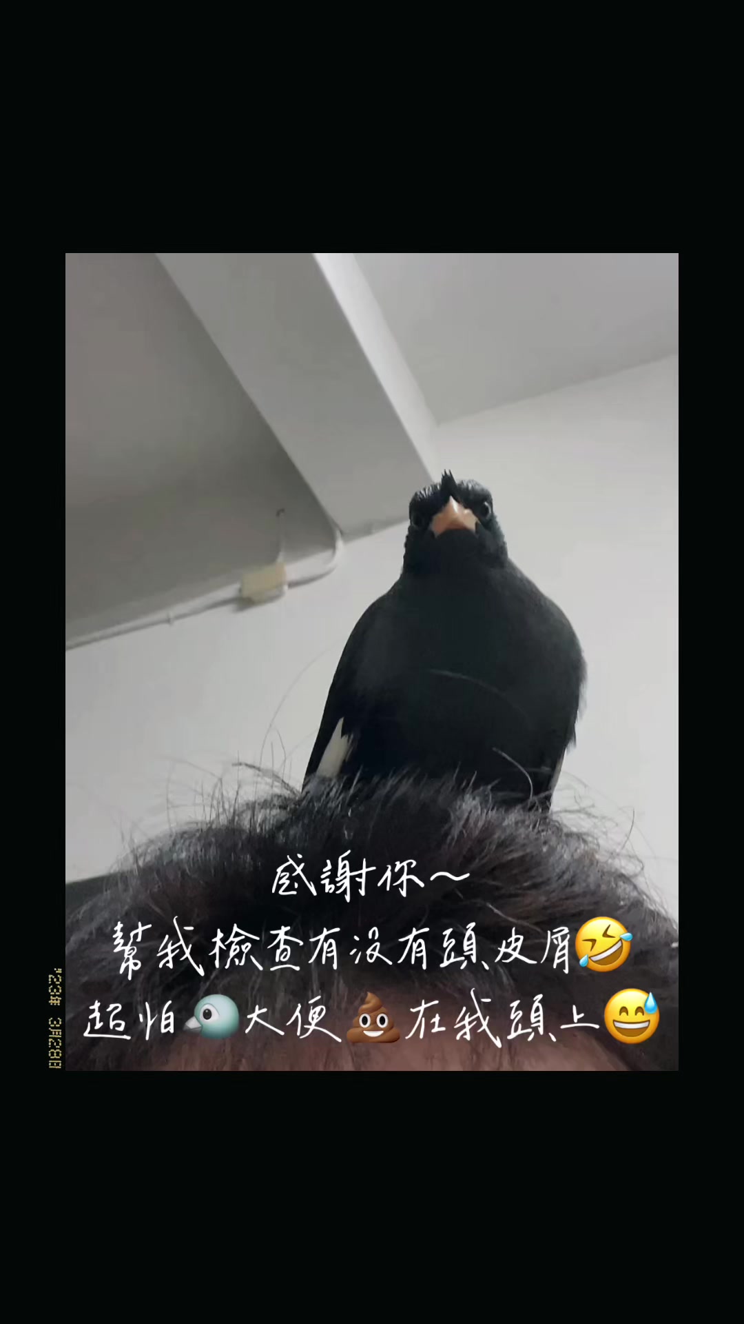 @lai10lai10