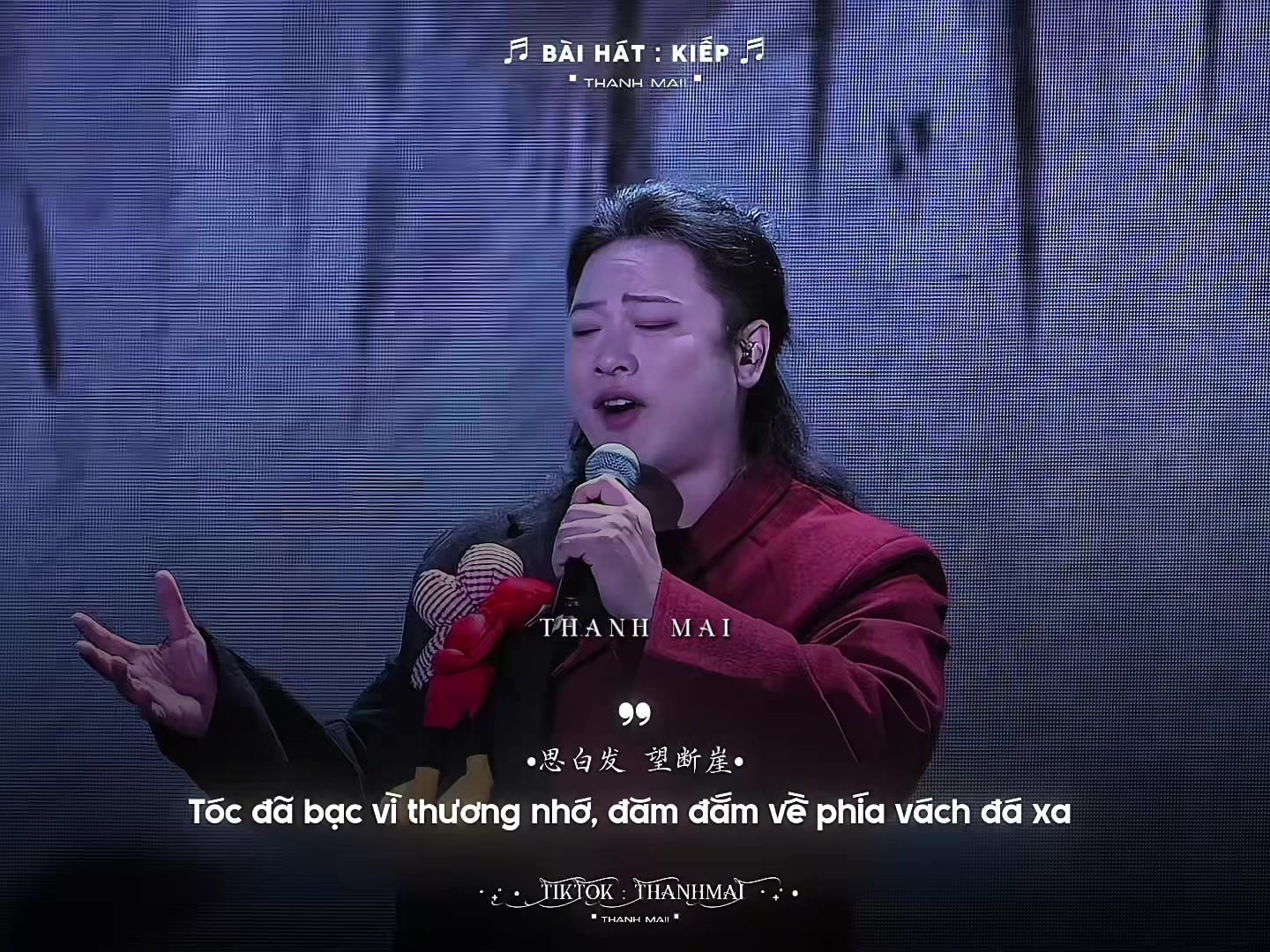 @𝗤𝗶𝗻𝗴𝗠𝗲𝗶 青梅