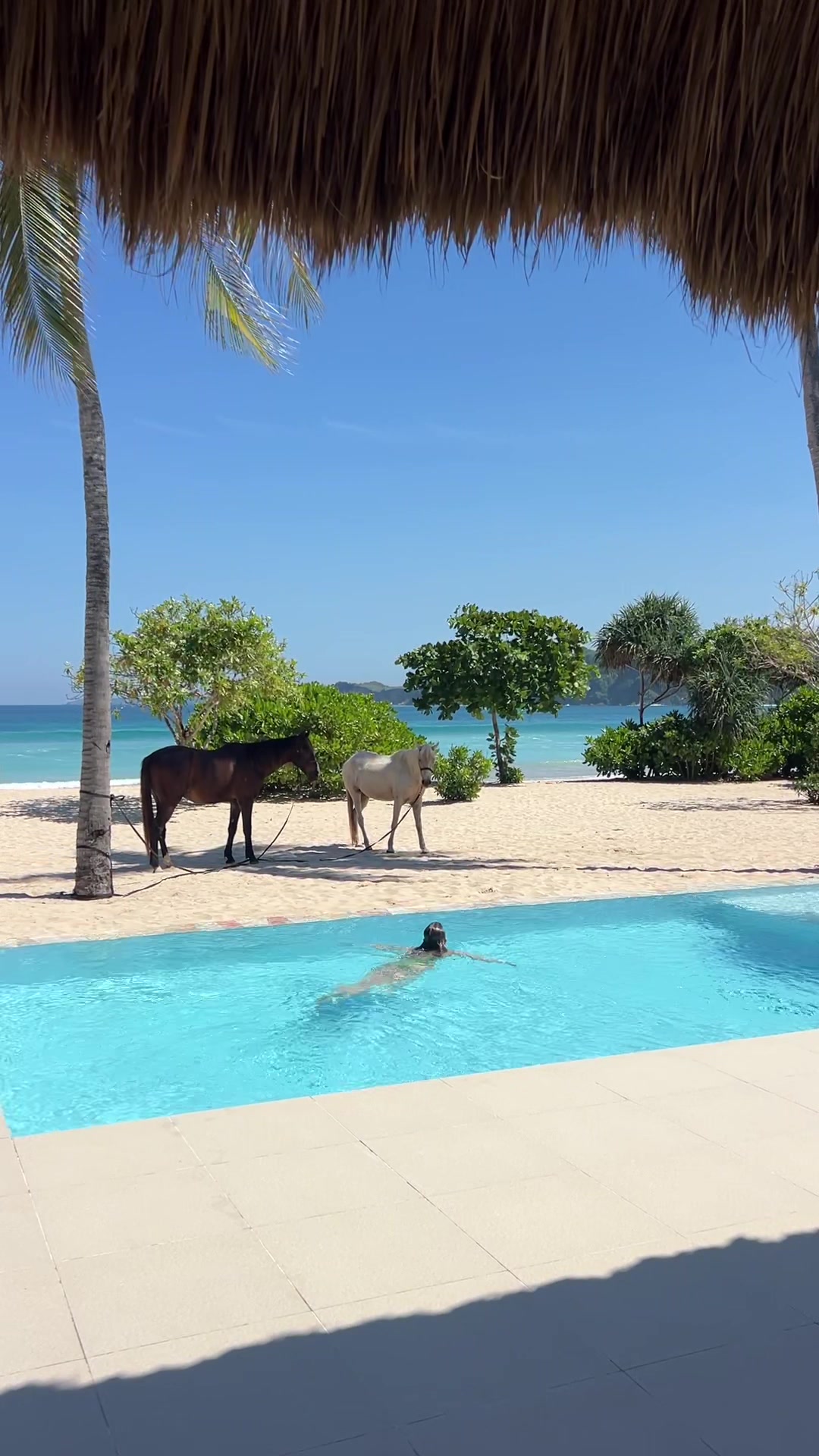@Aimee Bell - Travel & Life