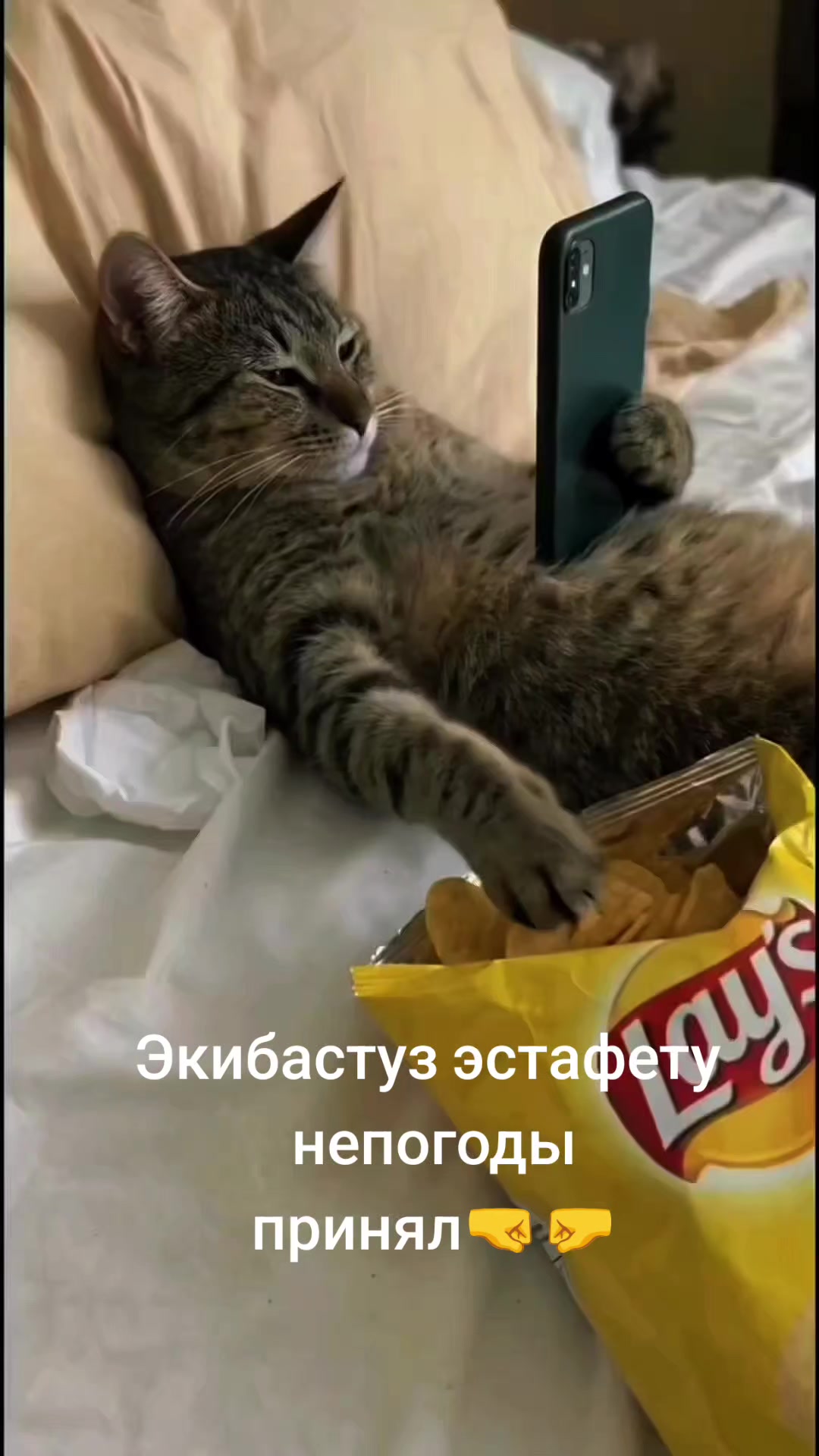 @Роза