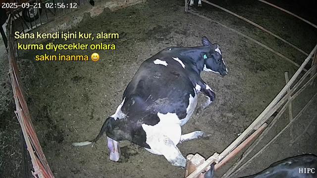 @bekir_topal_45