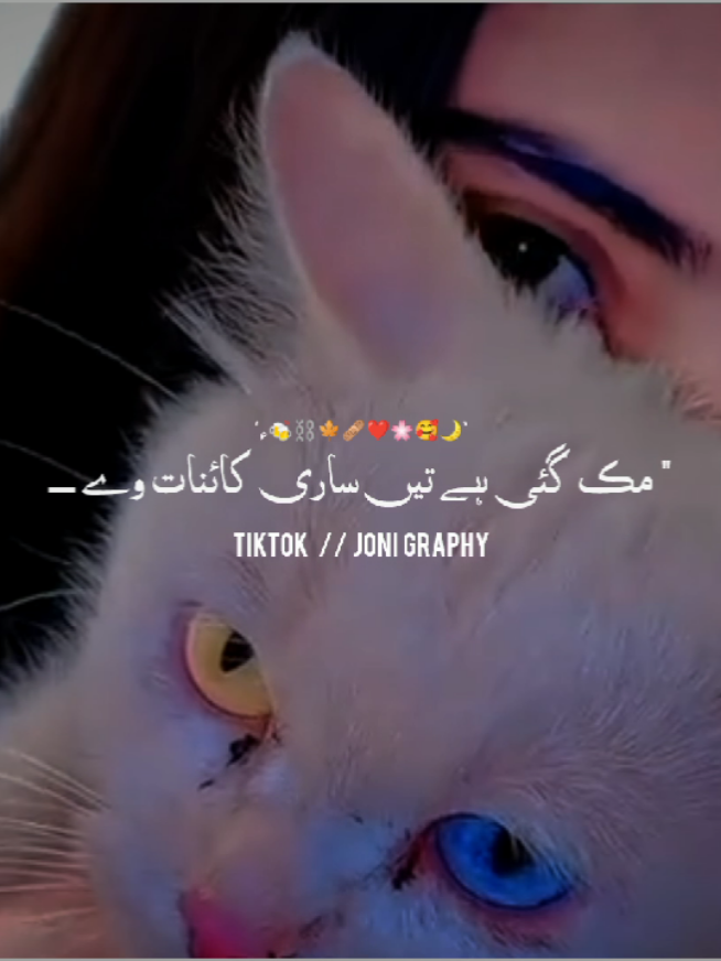@°جونـــــی٘𓇢𓆸