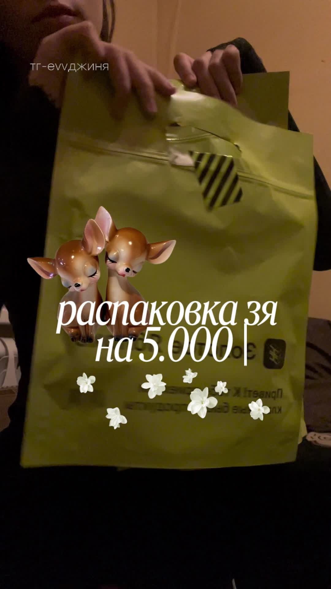 @тг-evvджиня