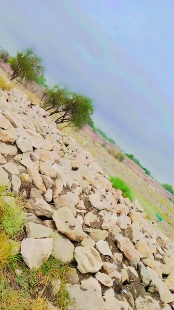 @MalikAwais🕊️
