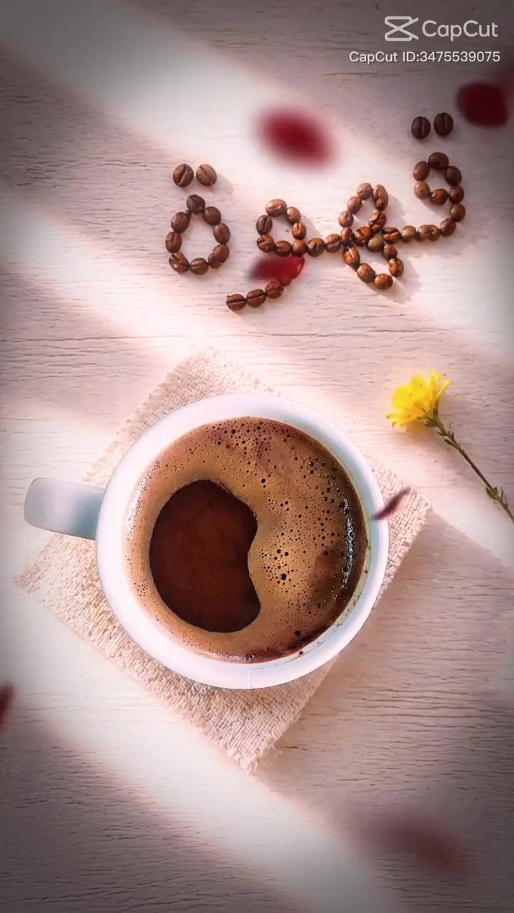 @عاشقة_الورد…🪽