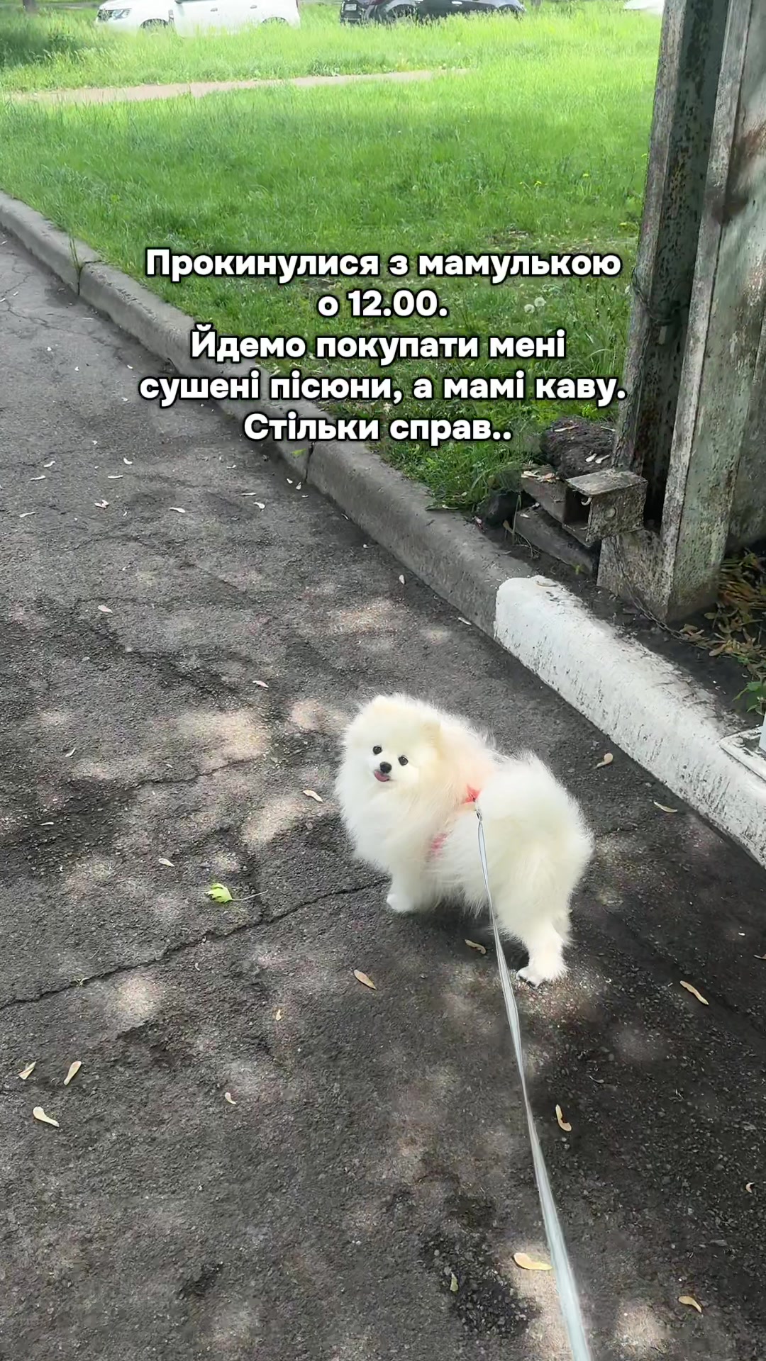 @Ліля з ТікТоку 💃
