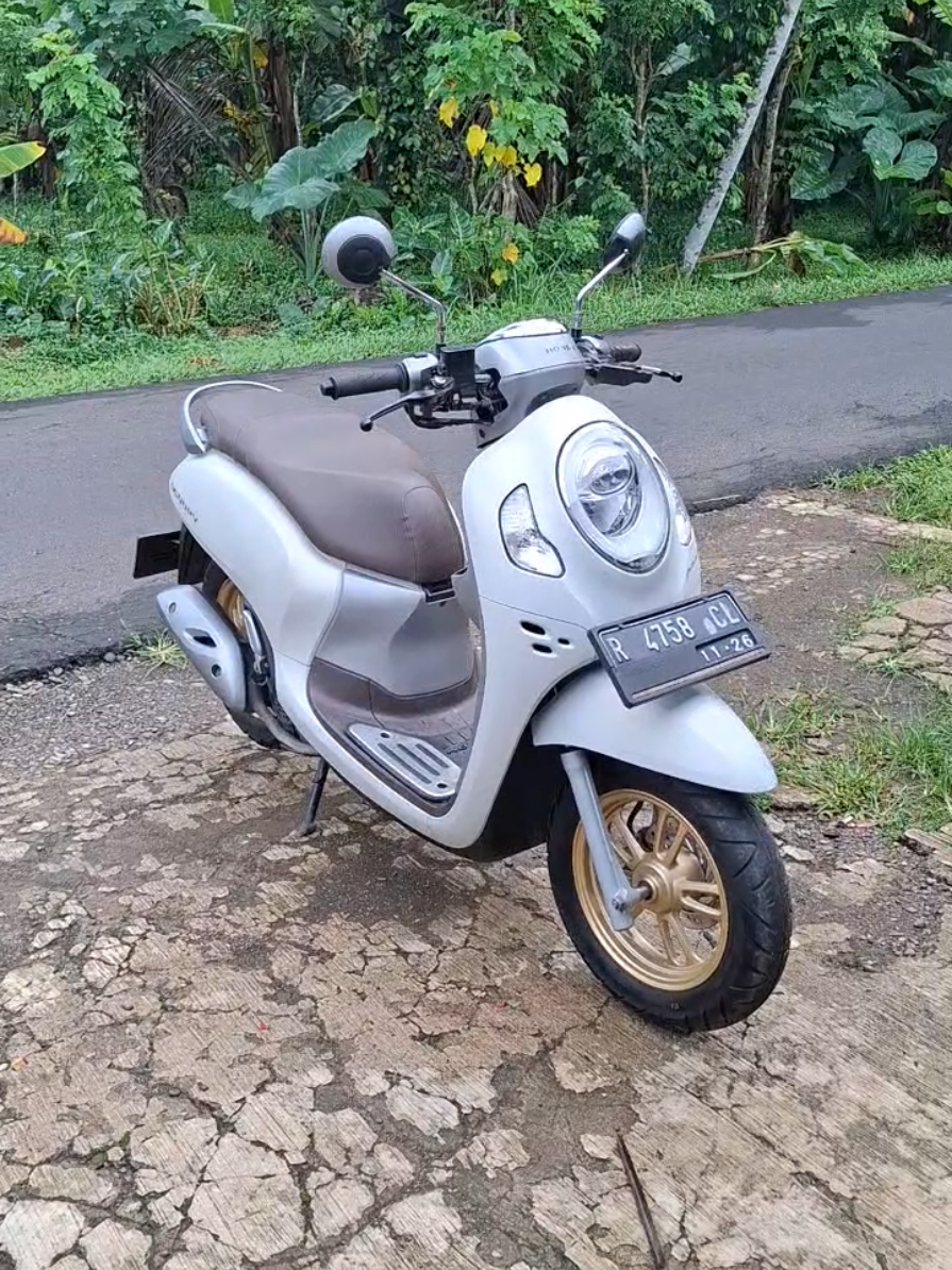 @Alia Motor