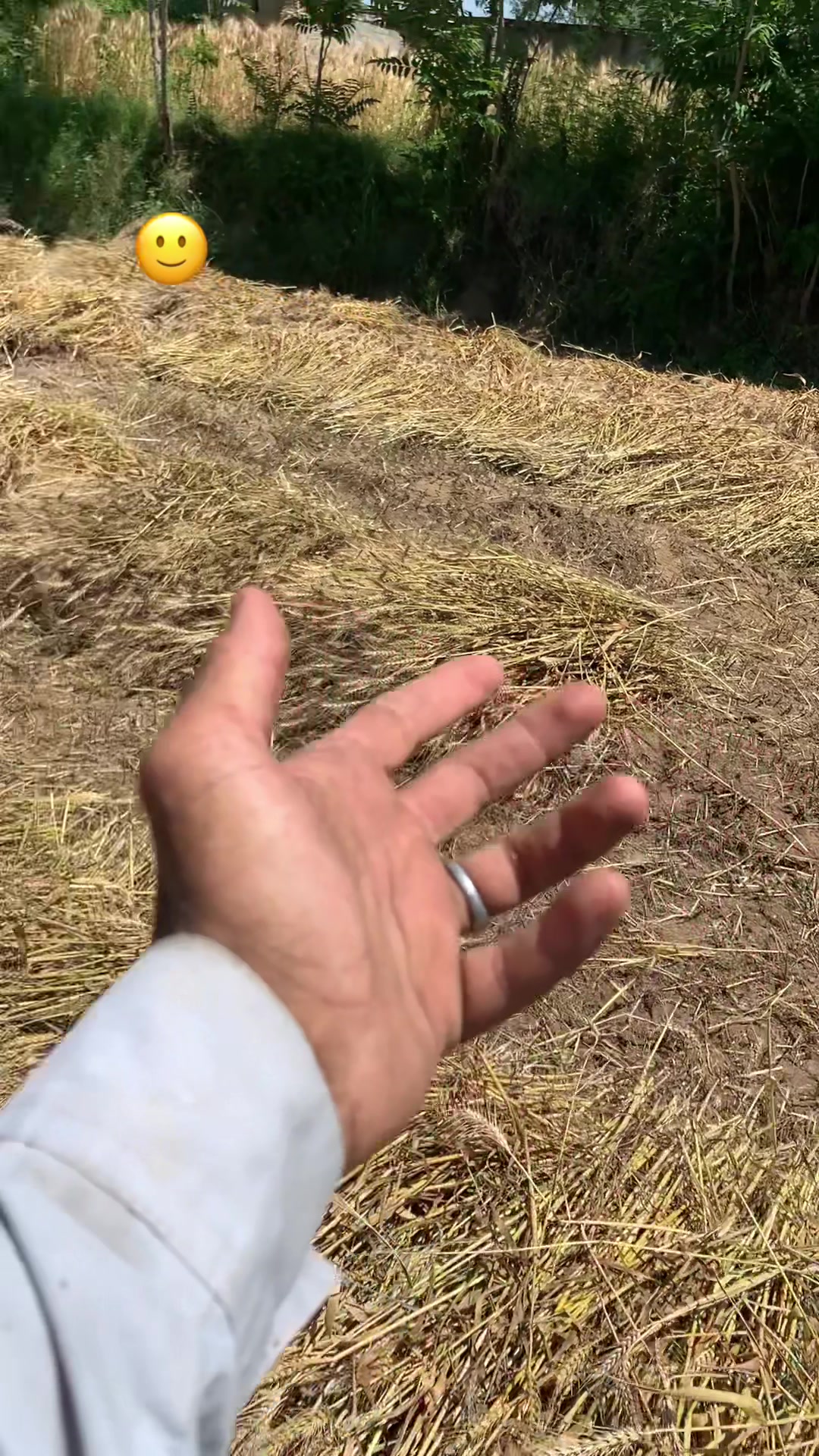 @kalliwala