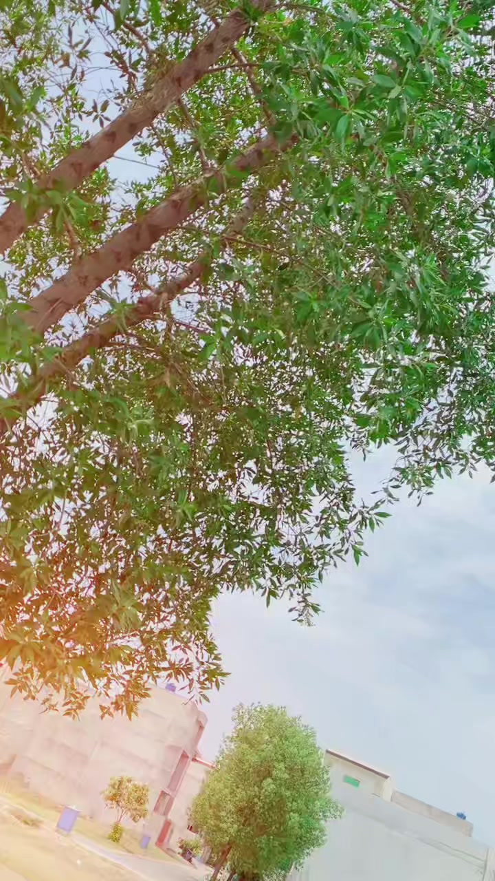 @معظم کھوکھر ♟️