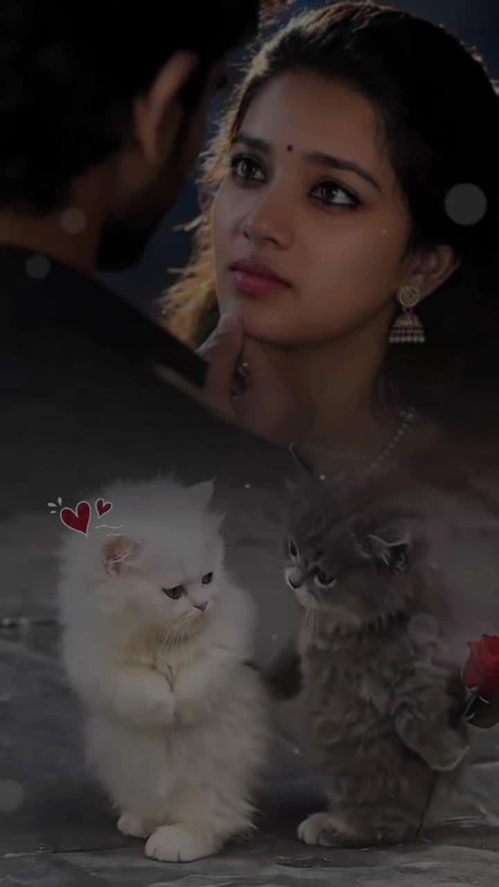 @☆꧁✬💫𝓐𝓶𝓶𝓾 💫✬꧂☆