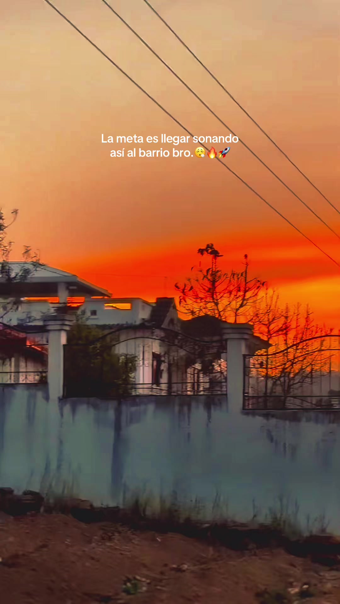 @DiLeo Mulul r6🤍