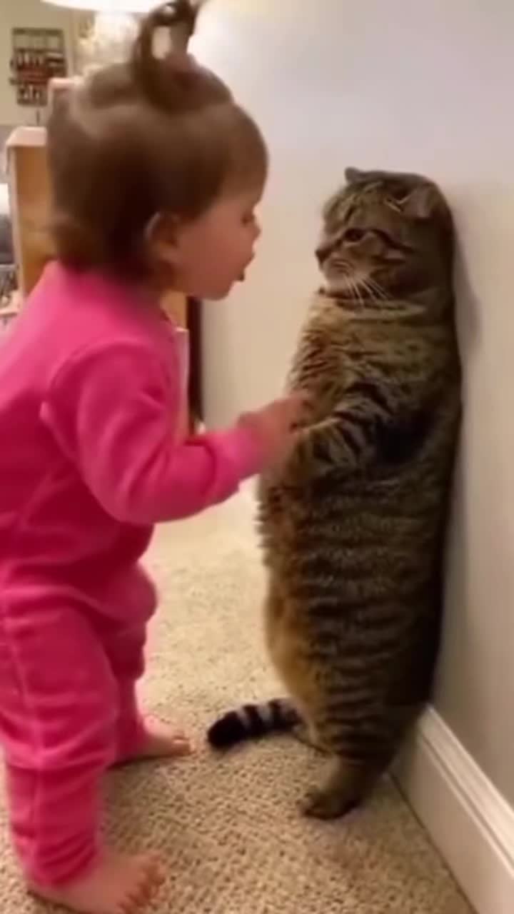@๐บ๐๐๐๐ ๐ถ๐๐๐๐๐