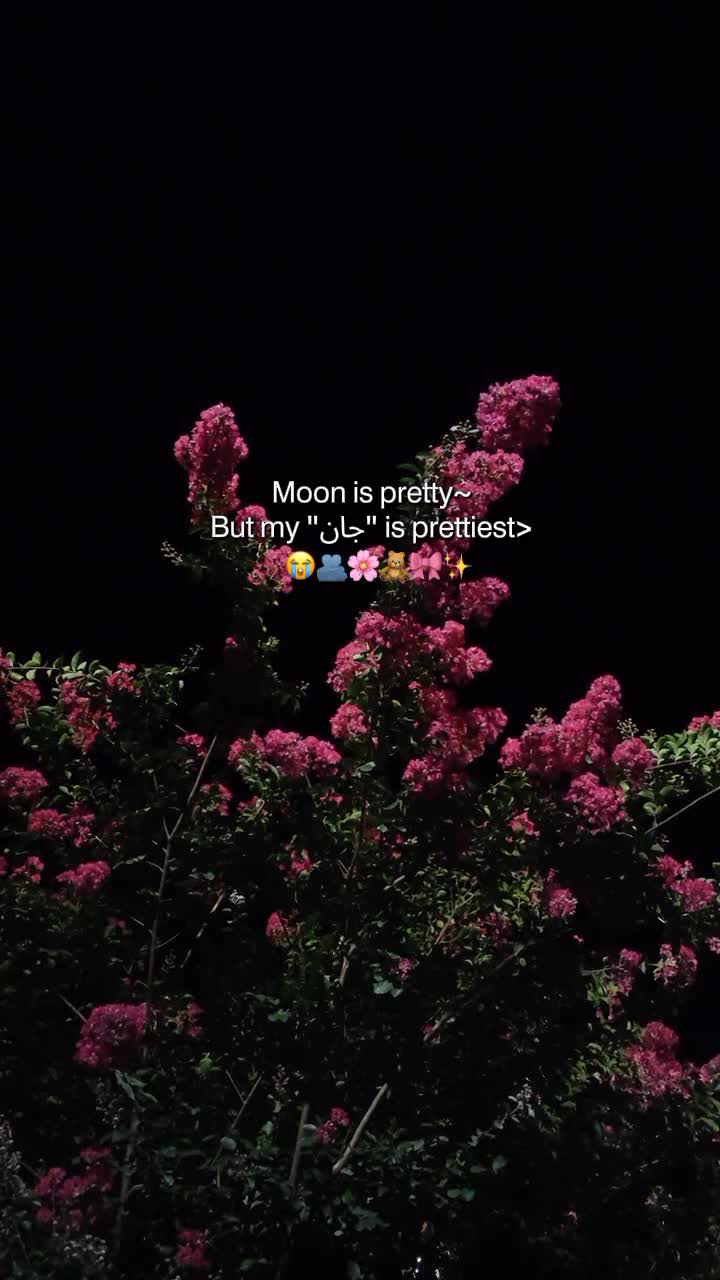 @SHAZI𖤍🥶⃤