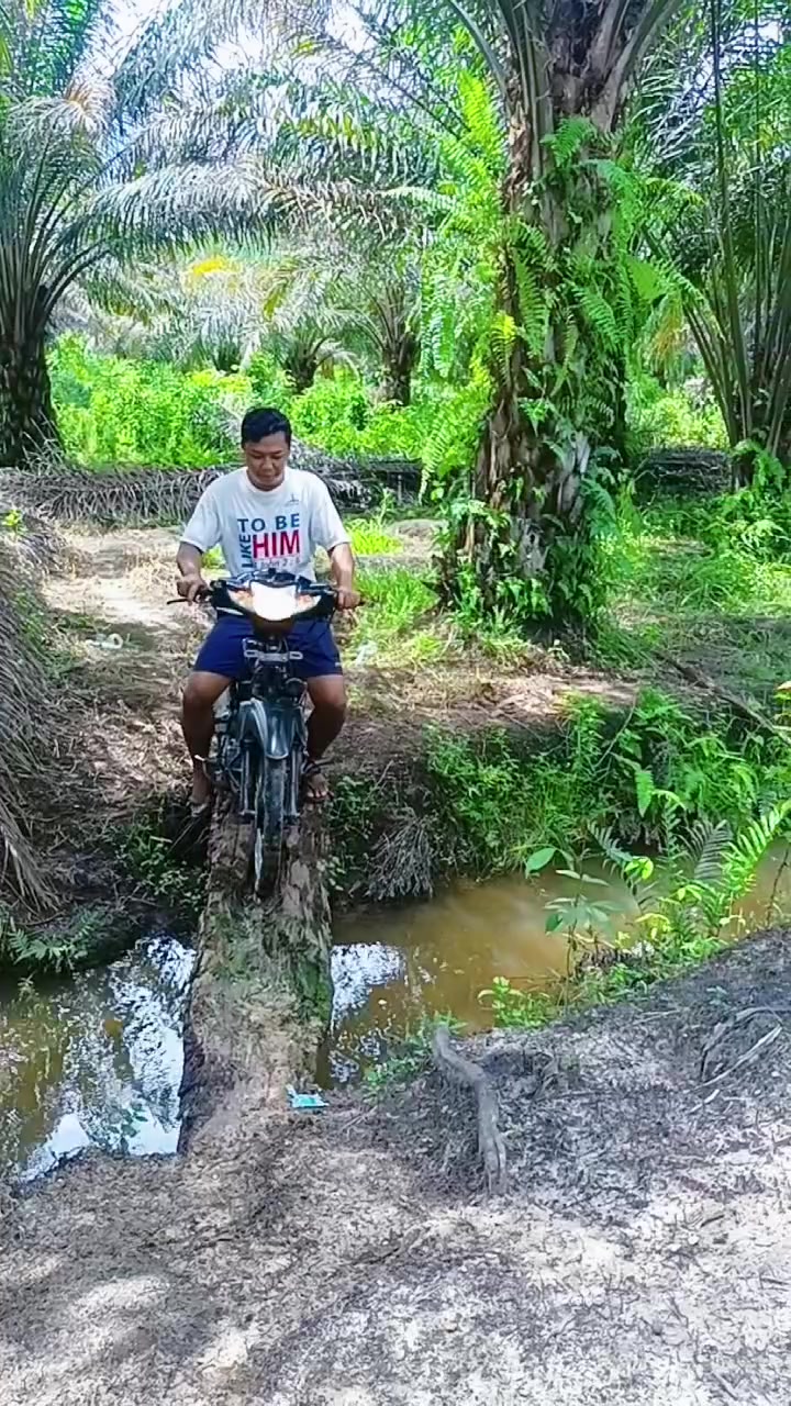 @Parsumbul Julu