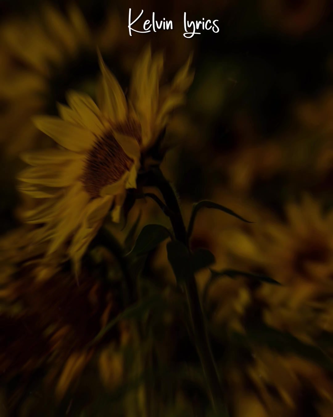 @𝐊𝐈𝐍𝐆 𝐎𝐅 𝐋𝐘𝐑𝐈𝐂𝐒