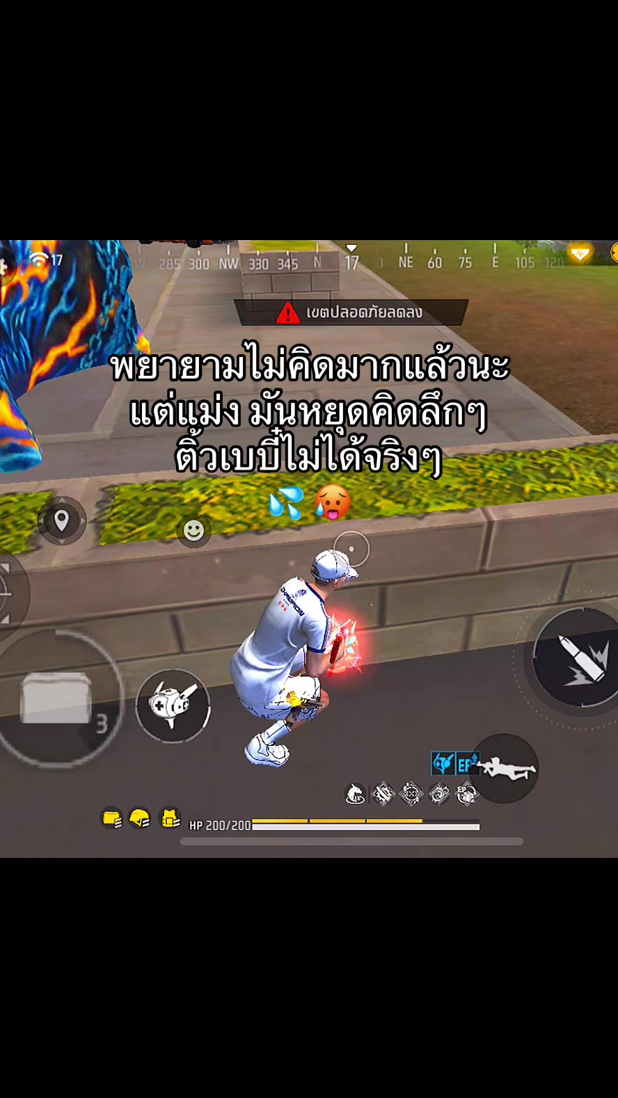 @แมวไม่มีเจ้าของ