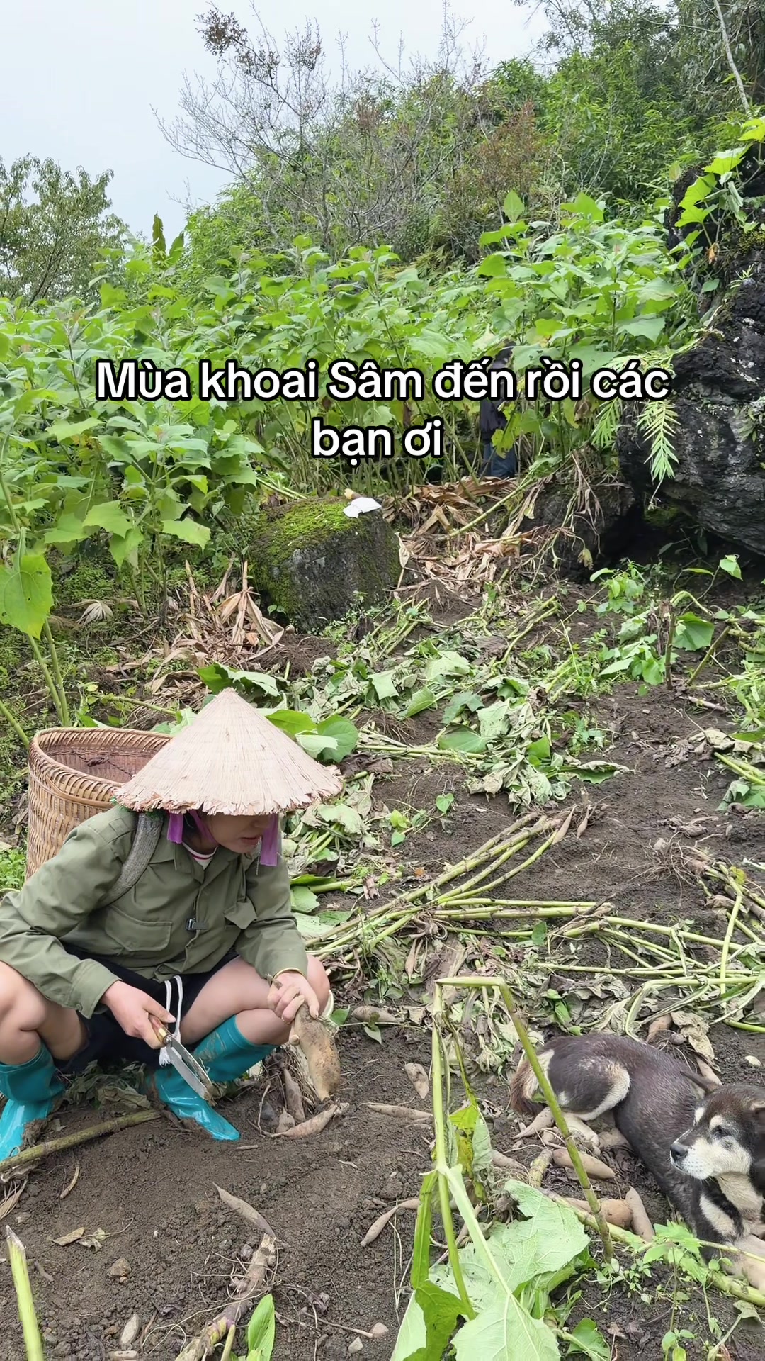 @Dung Nhây