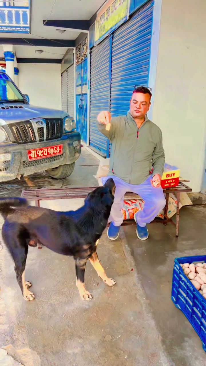 @gyanendrapokhrel47