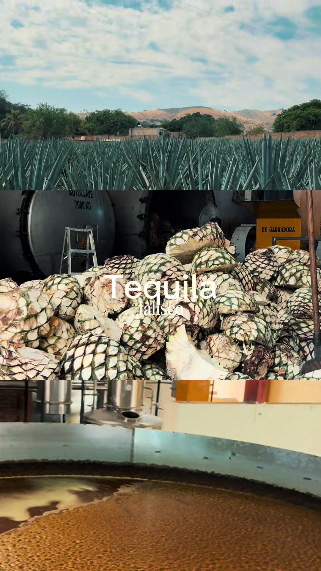 @Oscar Jaramillo