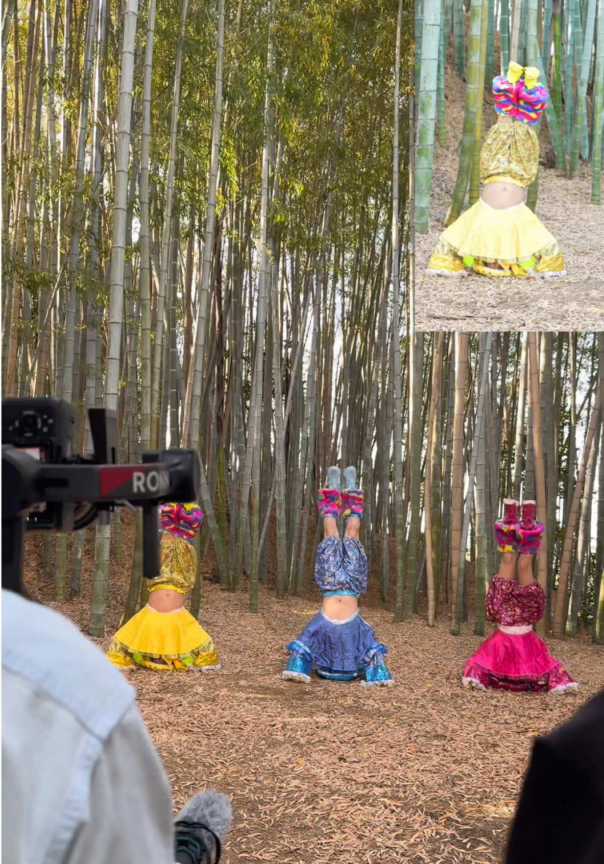 @竹下☆ぱらだいす🎍🌈