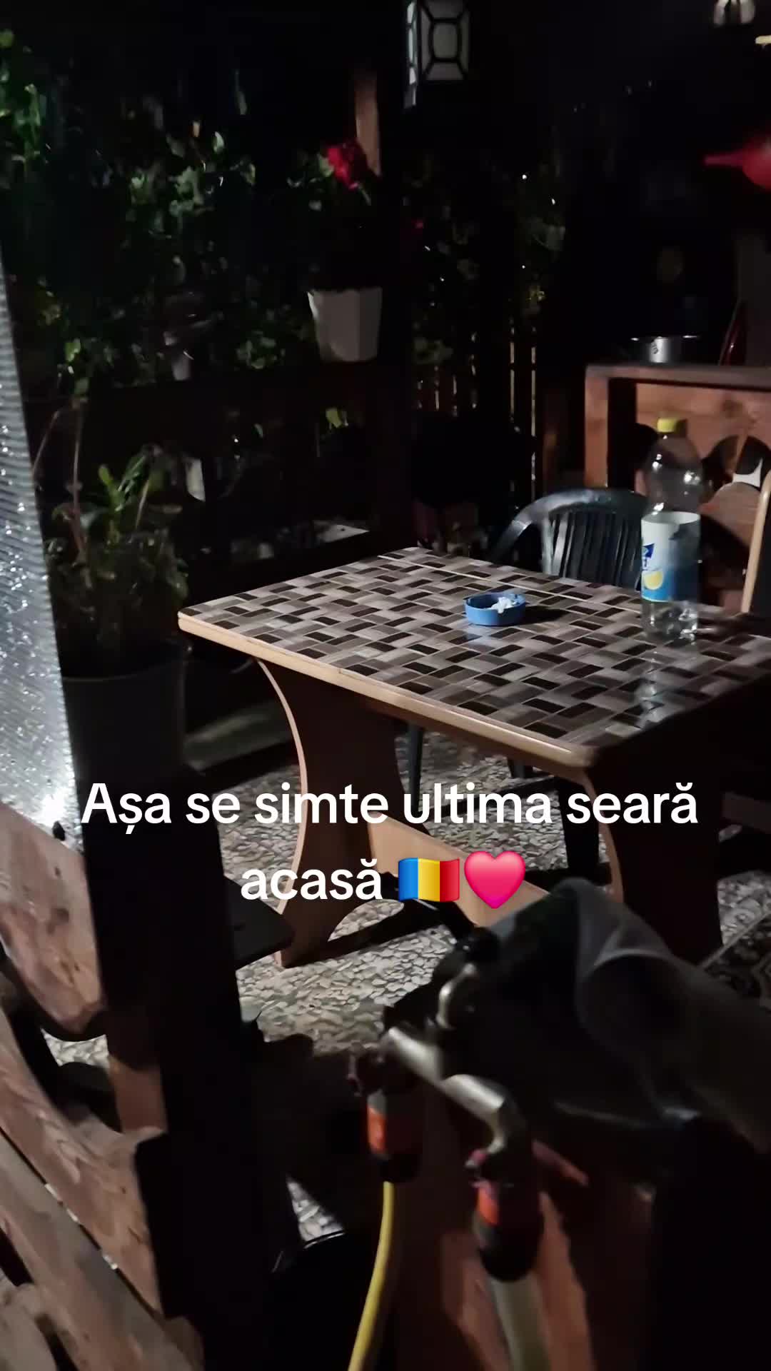 @Diana Dumitrita Alec