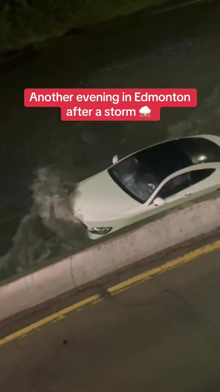 @Bad Driver Edmonton