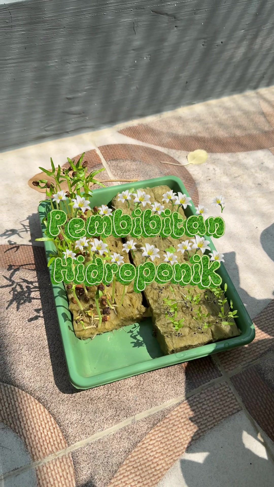 @Uswatunieq | Suka makan