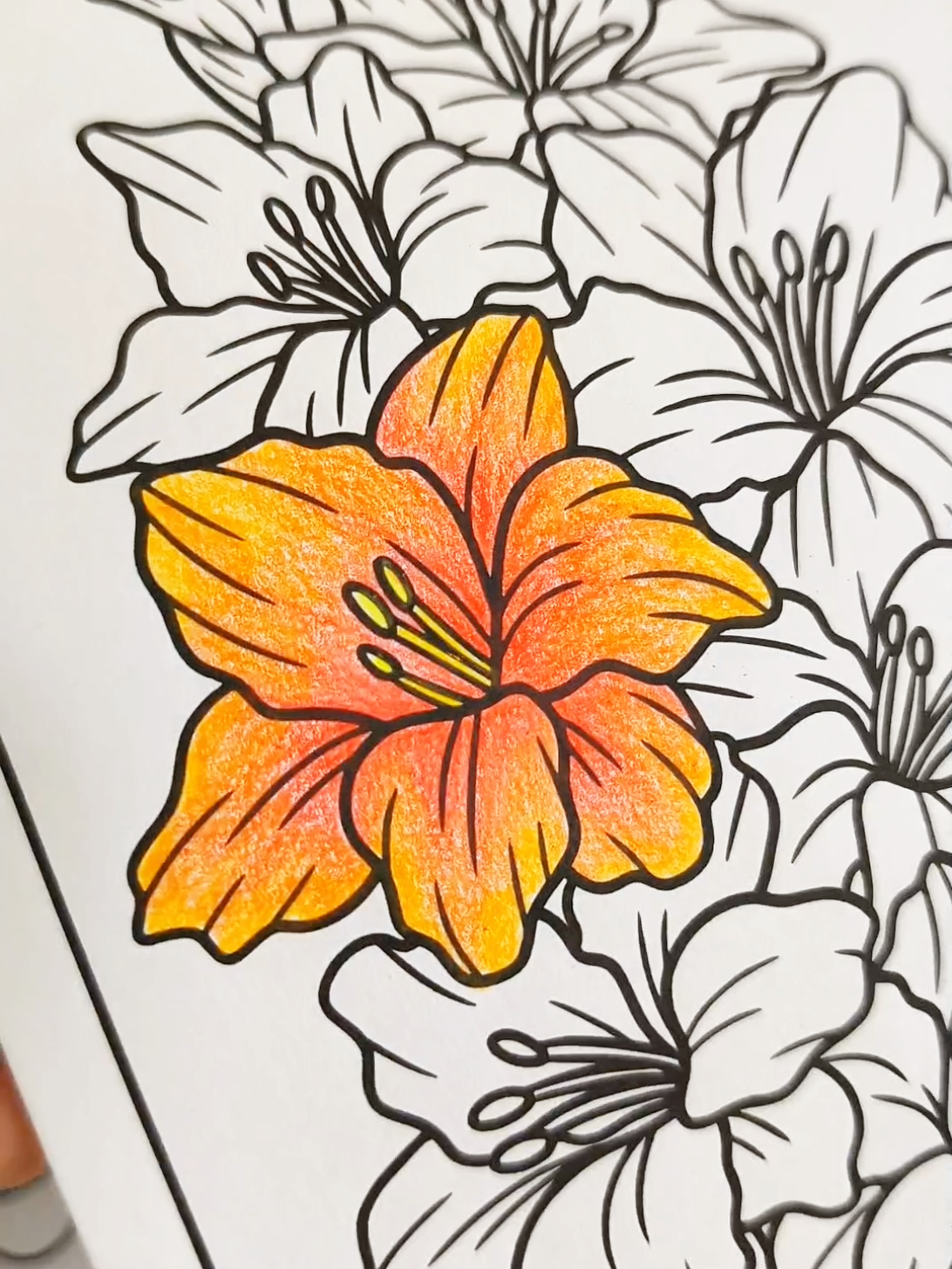 @Syaf.ColorArt