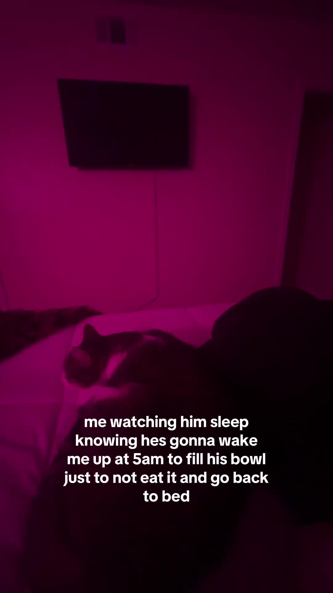 @Leiamillerrr