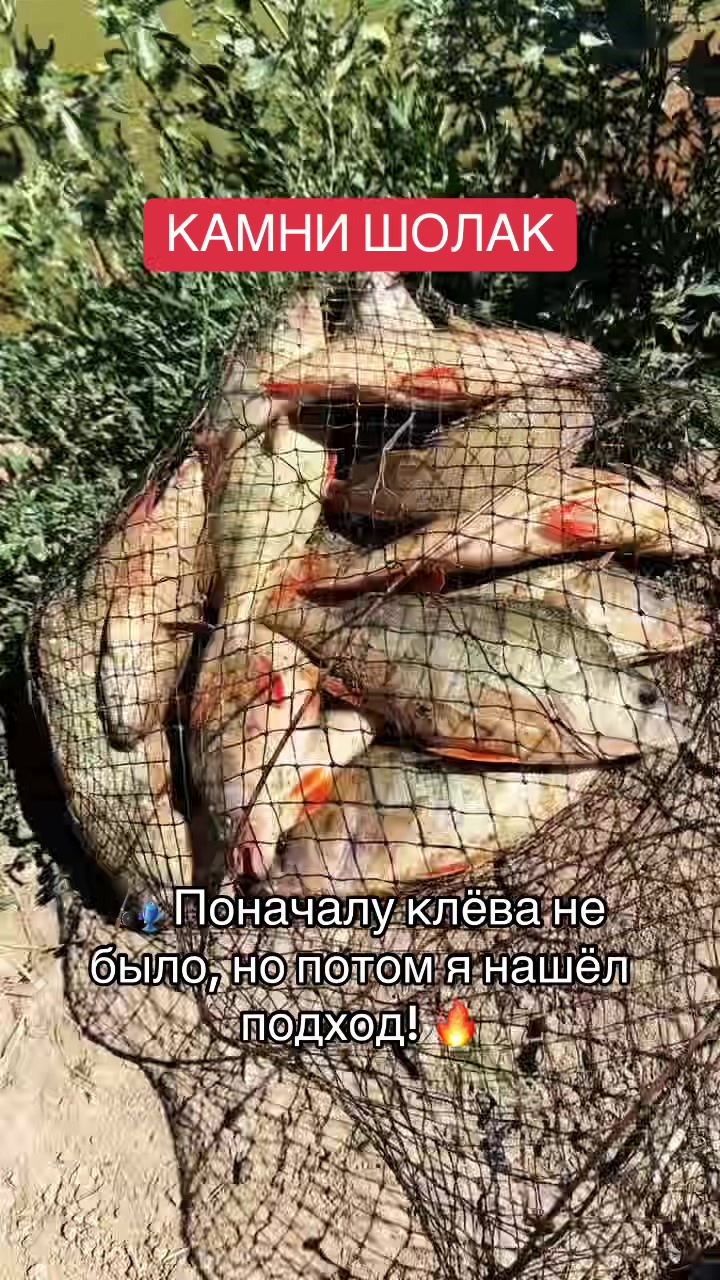 @astana.fishing🇰🇿