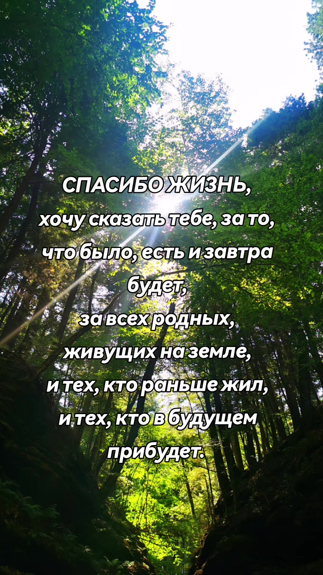 @Inna Panova