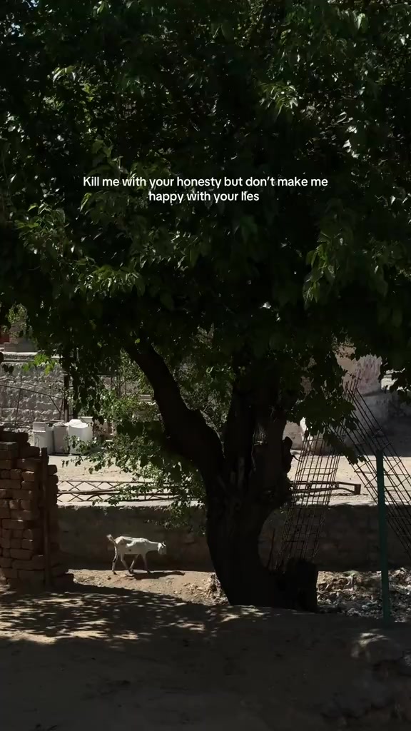 @𝓐𝓵𝓮𝓮𝓷𝓪 𝓲𝓺𝓫𝓪𝓵⋆🦋༘⋆