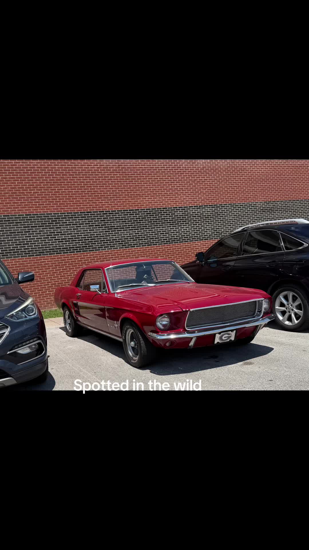 @Car spotting/spotting cars