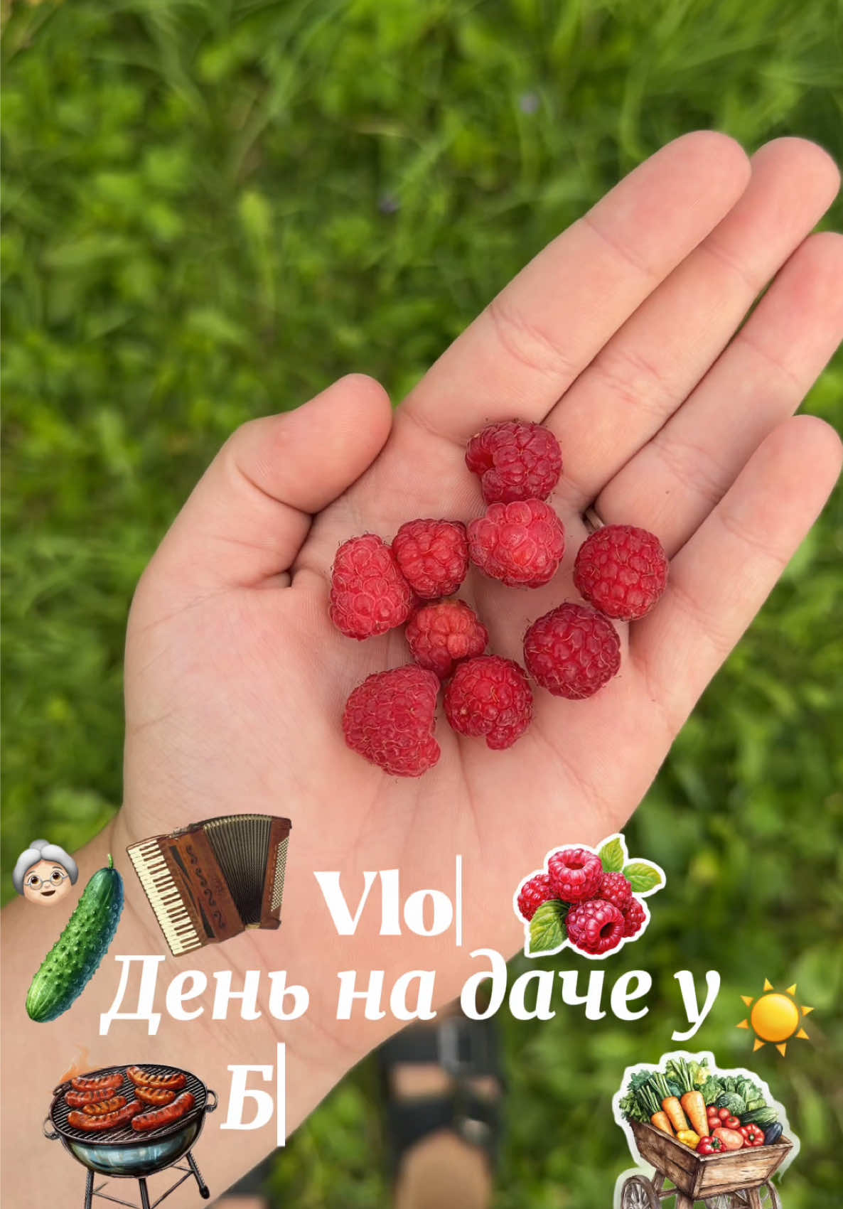 @byEva🩶
