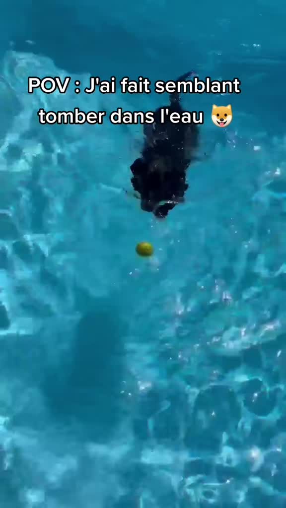 @Neïko Neïko