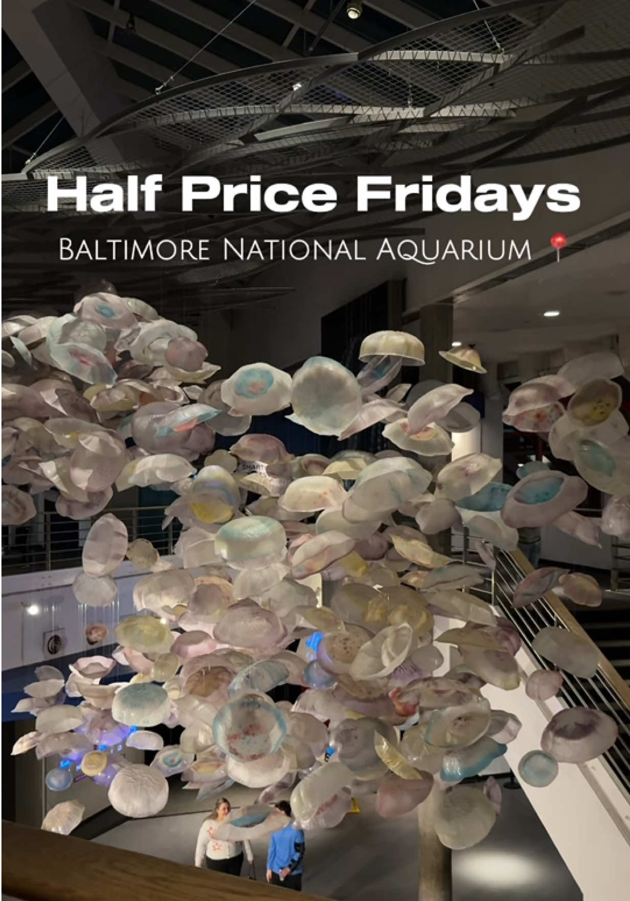 @YourBaltimoreBestie