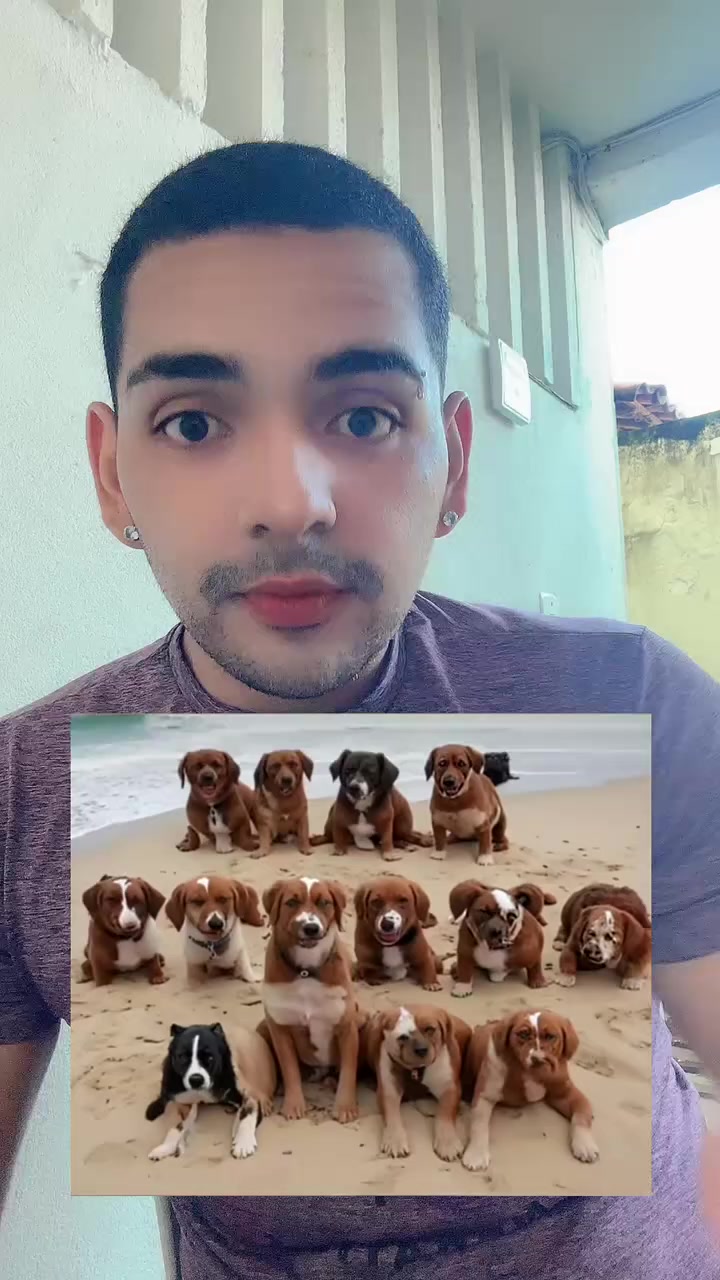 @Zé da manga🥭