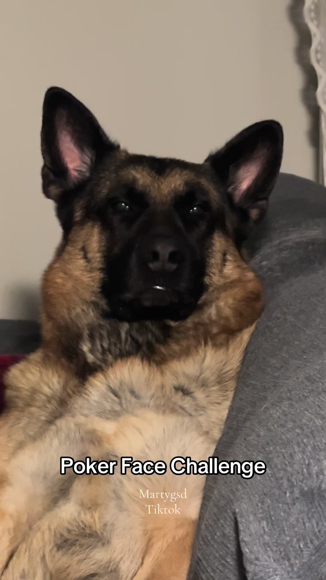 @Martygsd