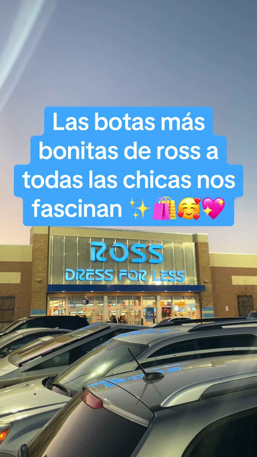 @larasshopping